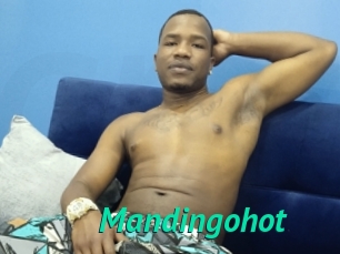 Mandingohot