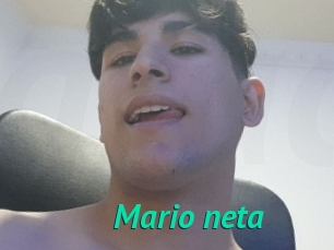 Mario_neta