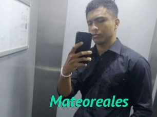 Mateoreales