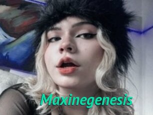 Maxinegenesis