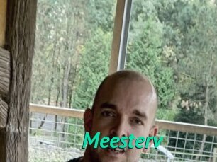 Meesterv