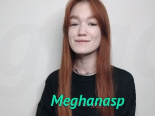 Meghanasp