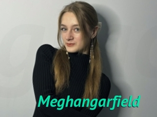 Meghangarfield