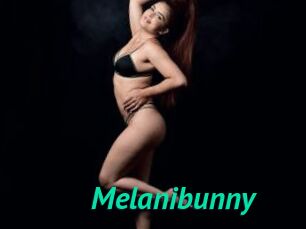 Melanibunny