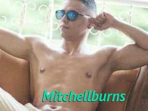 Mitchellburns