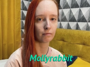 Mollyrabbit