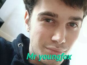 Mr_youngfox