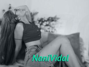 NaniVidal