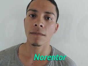 Noren_tor