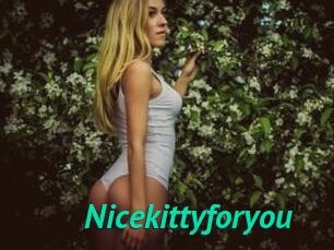 Nicekittyforyou