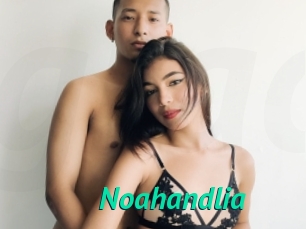 Noahandlia