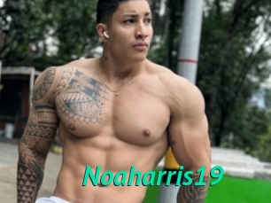 Noaharris19