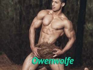 Owenwolfe