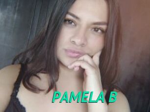 PAMELA_B