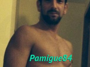 Pamigue84