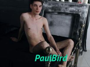 PaulBird