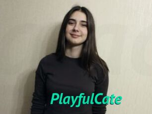 PlayfulCate