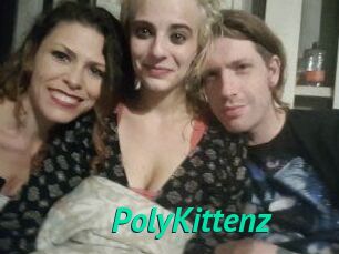 PolyKittenz