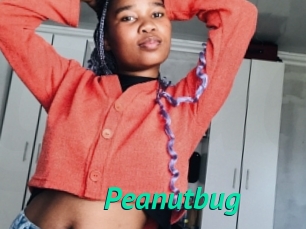 Peanutbug