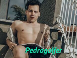 Pedrogolfer