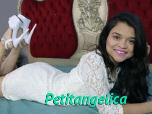 Petitangelica