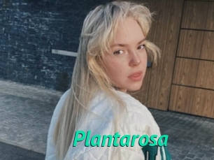 Plantarosa