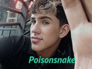 Poisonsnake