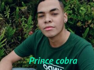 Prince_cobra