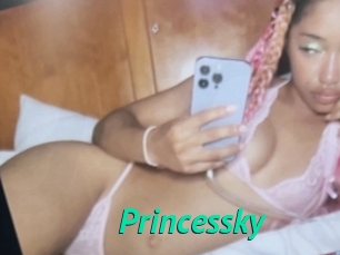 Princessky