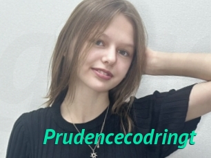 Prudencecodringt