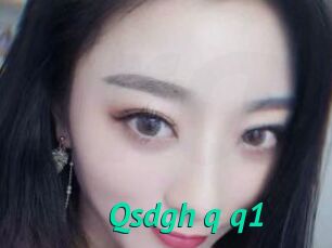 Qsdgh_q_q1