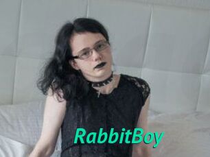 RabbitBoy