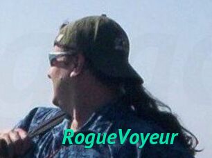 RogueVoyeur