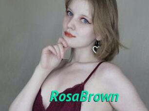 RosaBrown