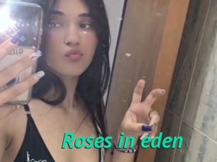 Roses_in_eden