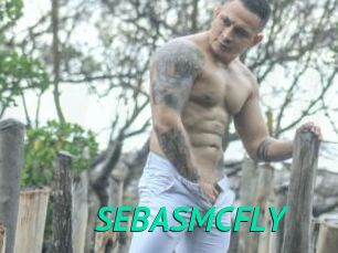 SEBASMCFLY