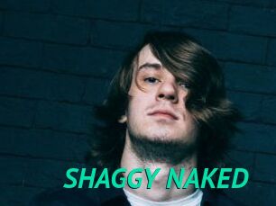 SHAGGY_NAKED