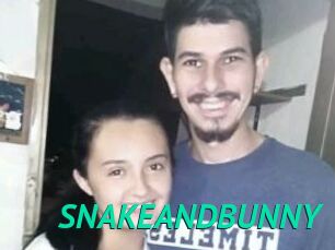 SNAKEANDBUNNY