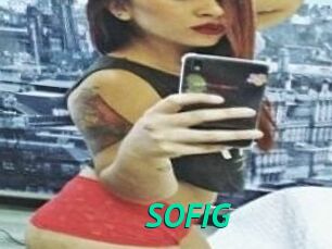 SOFI_G