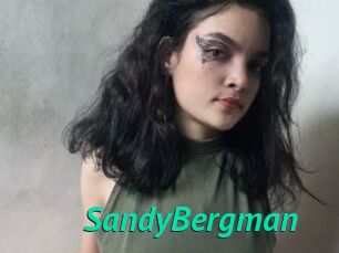 SandyBergman