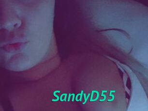 SandyD55