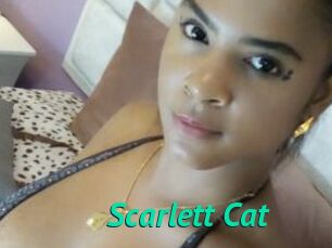 Scarlett_Cat