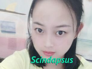 Scindapsus