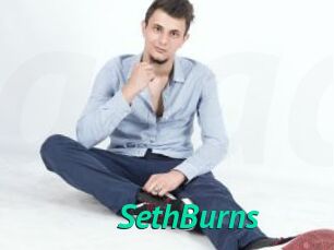 SethBurns