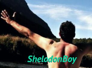 ShelodonBoy