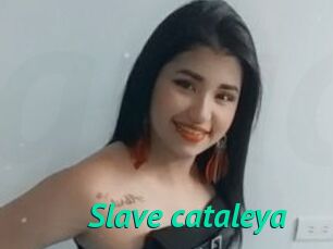 Slave_cataleya