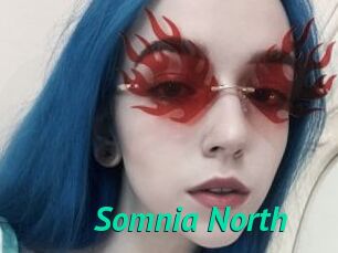 Somnia_North