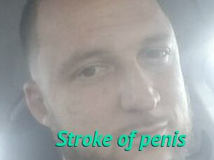 Stroke_of_penis
