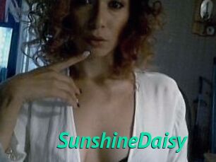 SunshineDaisy