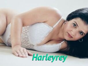 Harleyrey